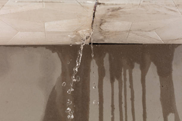 Professional Water Damage Inspection technician working in Chester, CA